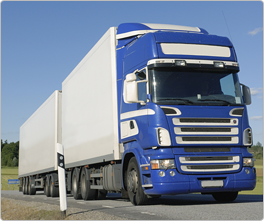 Servicio urgentes / Entregas directas