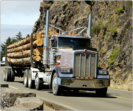 Mercancías especiales